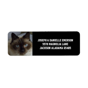 Siamese Kitty Address Labels