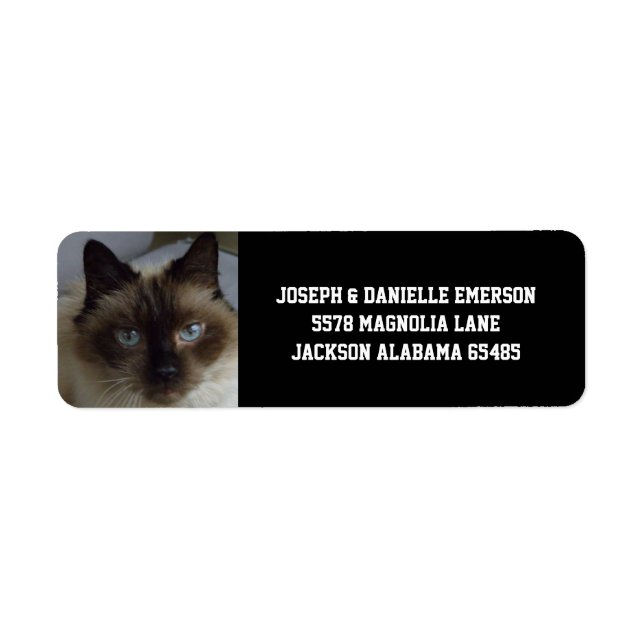 Siamese Kitty Address Labels (Front)