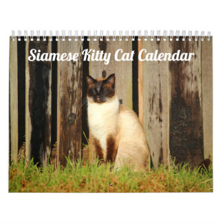 Siamese Kitty Cat Cute  2021 Calendar