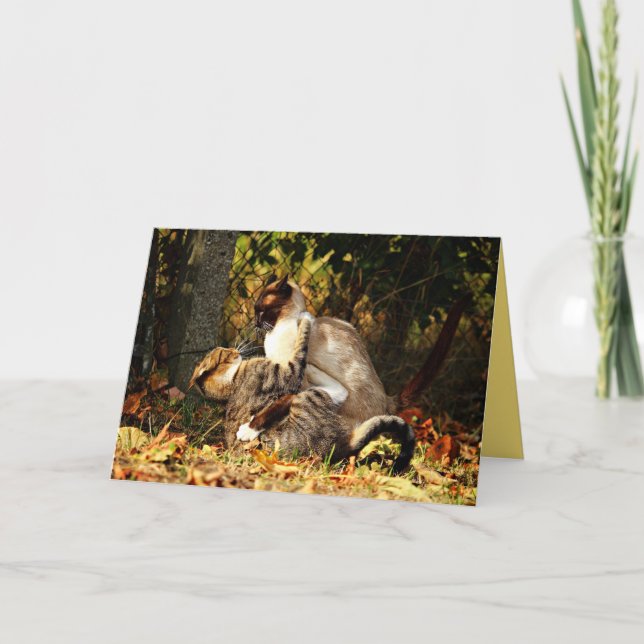 Siamese Kitty Cat Cute Customisable Card (Front)