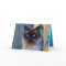 Siamese Kitty Cat Cute Customisable Card
