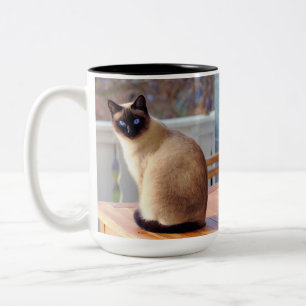 Siamese Kitty Cat Two-Tone Coffee Mug