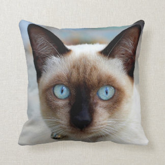 Siamese Kitty Face Cushion