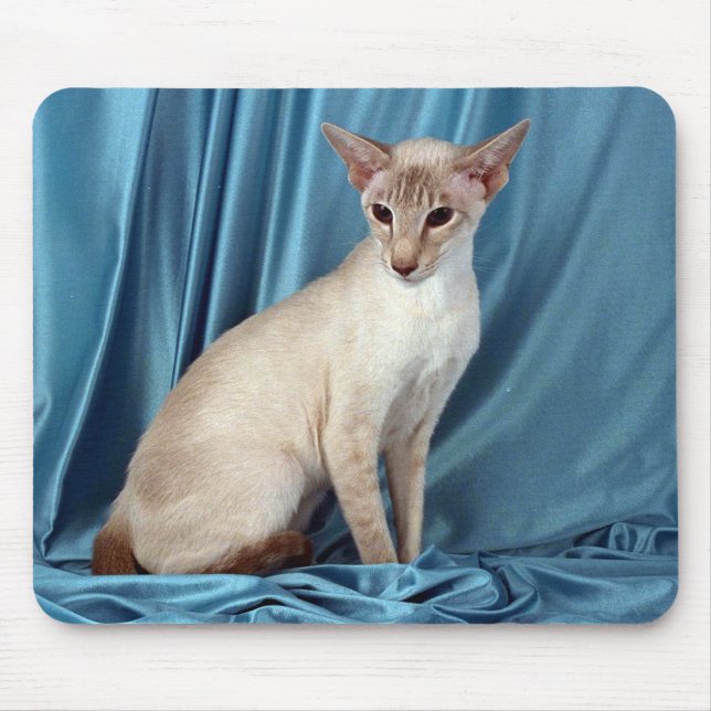 Siamese, lilac point mouse mat (Front)