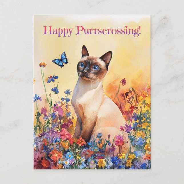 Siamese Postcrossing 2 - Postcard (Front)