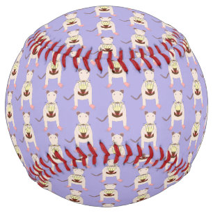 Siamese Rat with Birthday Cake Patterned Softball