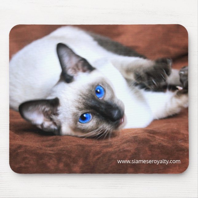 Siamese Royalty Mouse Pad (Front)