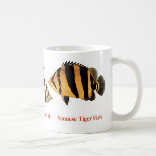 Siamese Tiger fishのマグカップ Coffee Mug