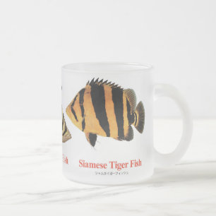 Siamese Tiger fish Frosted Glass Coffee Mug