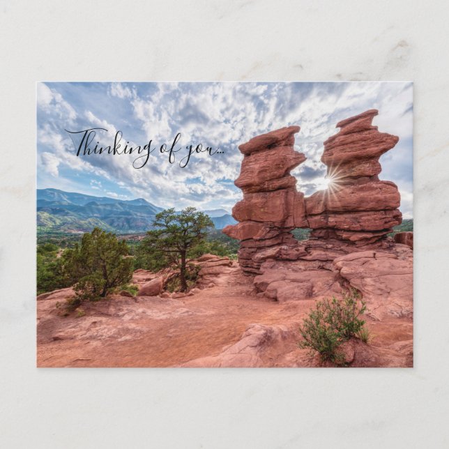 Siamese Twins Colorado Sunburst Thinking Of You Postcard (Front)