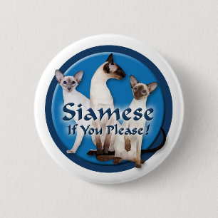 Siamese Watercolor Button