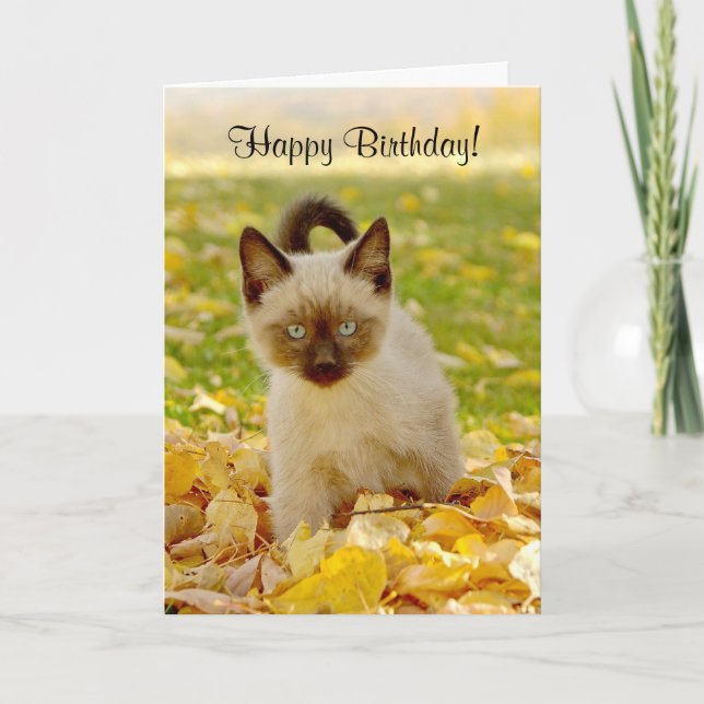 Siamese-X Kitten Birthday Card (Front)