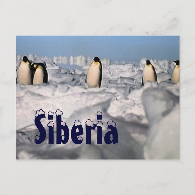 Siberia arctic winter  postcard (Front)