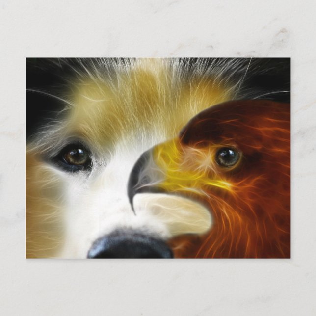 Siberia Husky Mighty Eagle Postcard (Front)