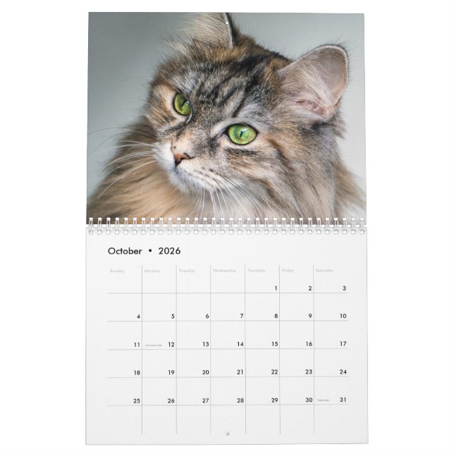 Siberian Cat Calendar 2019 (Oct 2026)