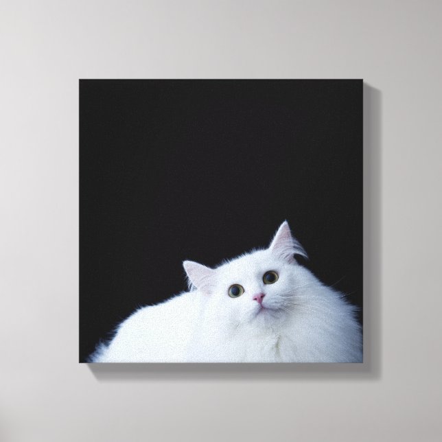 Siberian Cat Canvas Print (Front)