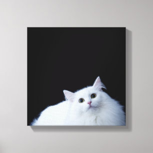 Siberian Cat Canvas Print