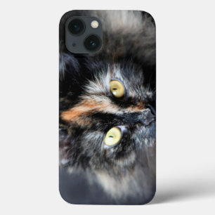 Siberian Cat iPhone 13 Case