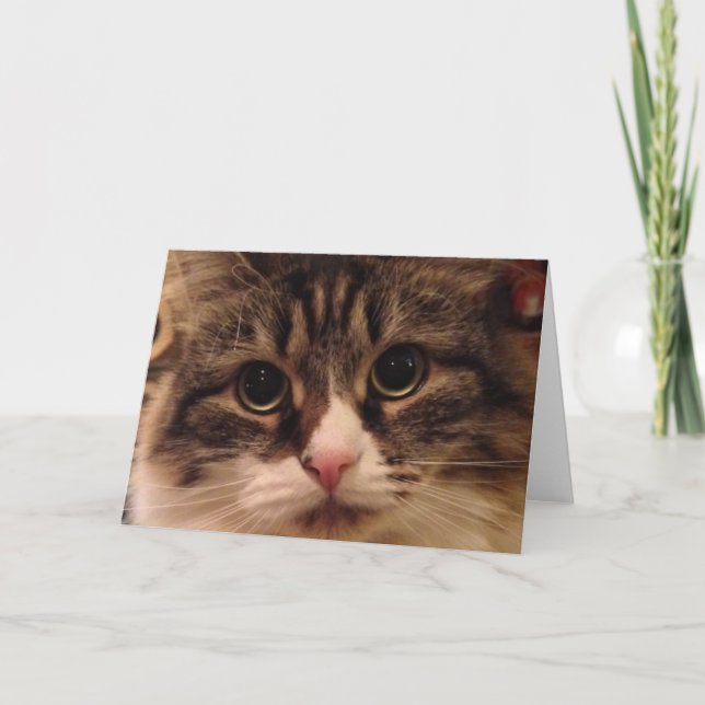 Siberian Cat Close Up Note Card (Front)