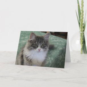 Siberian Cat Greeting Card (general purpose)