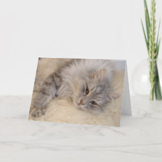 Siberian Cat Greetings Card