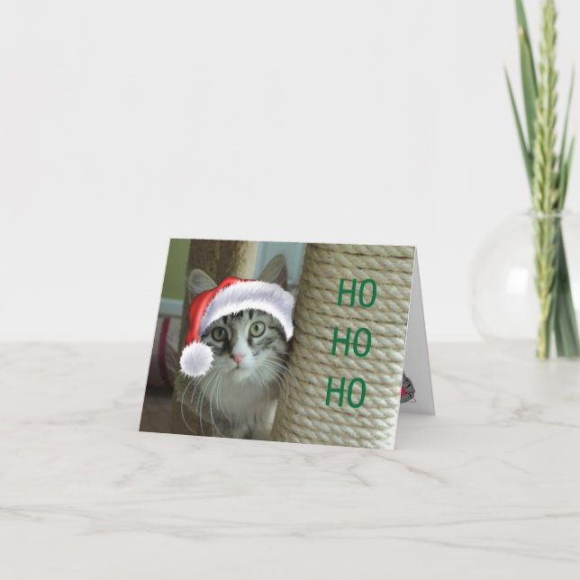 Siberian Cat Holiday Greetings Card (Front)