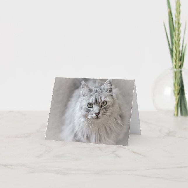 Siberian Cat Note Card (Front)