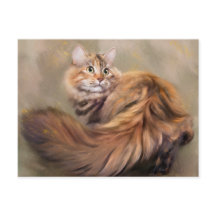 Siberian cat portrait art oil