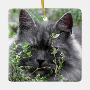 Siberian Cat Portrait Ceramic Tree Decoration