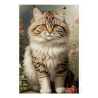 Siberian Cat