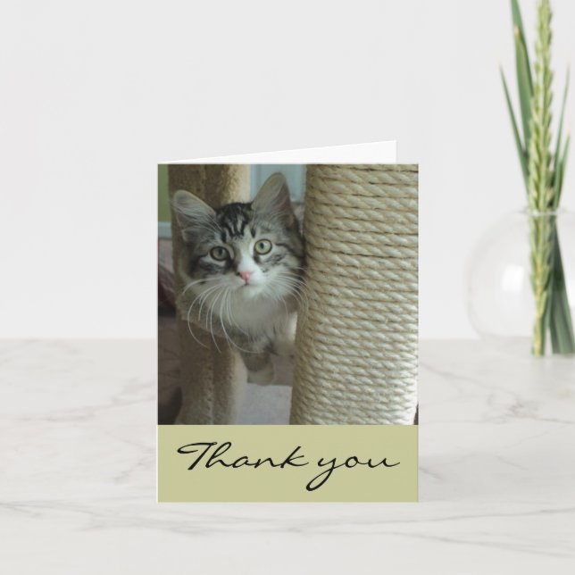 Siberian Cat Thank You Note Cards (Front)