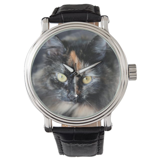 Siberian Cat Watch (Front)