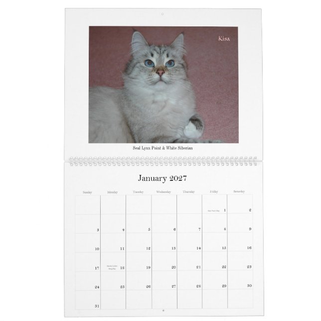 Siberian Cats and Kittens Calendar Final2 (Jan 2027)