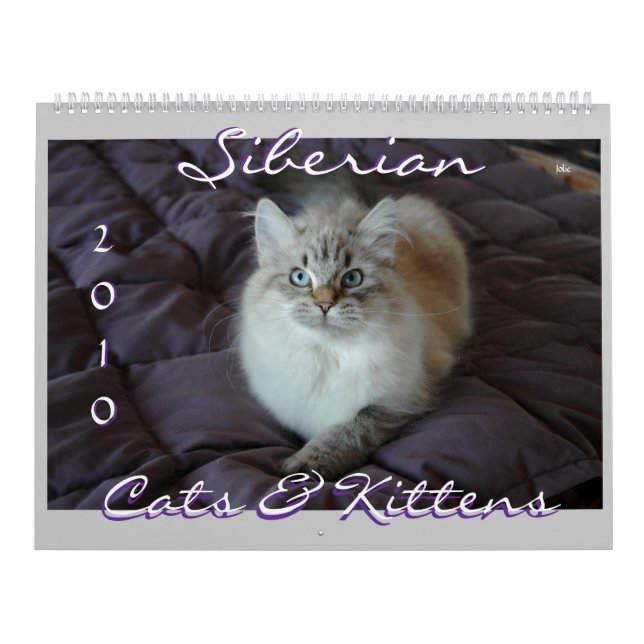 Siberian Cats & Kittens 2010 Calendar (Cover)