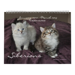Siberian Cats Kittens 2012 - 2013 Calendar