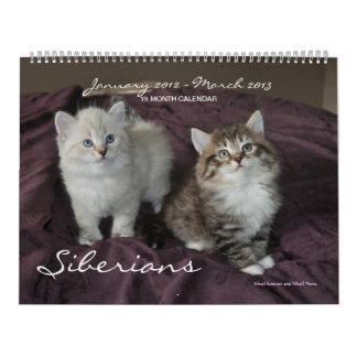 Siberian Cats Kittens 2012 - 2013 Calendar
