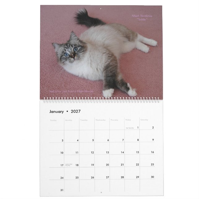 Siberian Cats Kittens Jan2012 - Mar2013 Calendar (Jan 2027)
