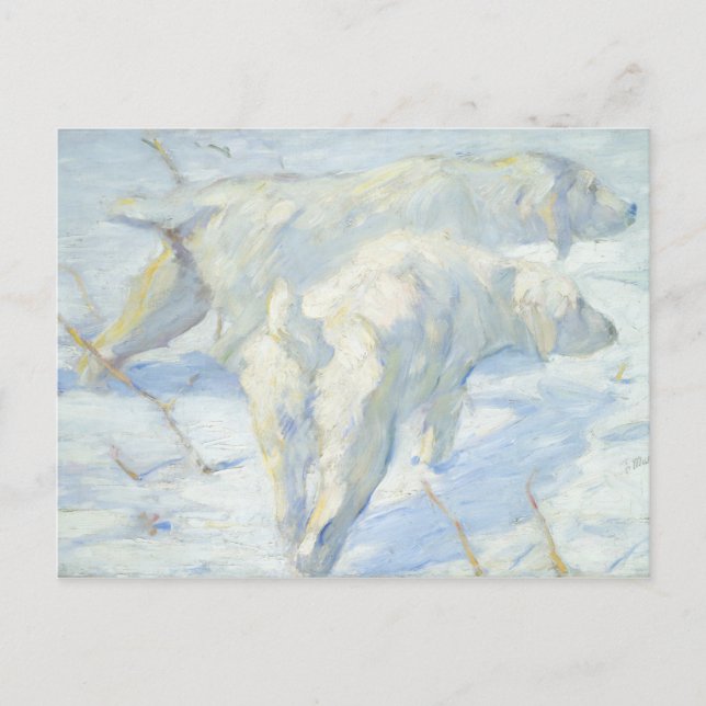 Siberian Dogs in the Snow Postcard (Front)