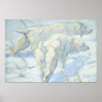 Siberian Dogs in the Snow