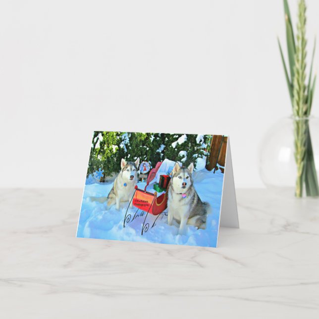 Siberian Huskies and adorable cat Holiday Card (Front)