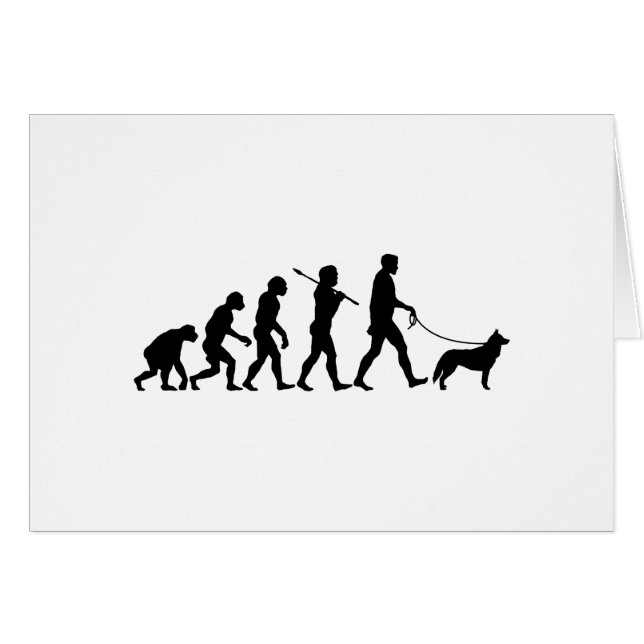 Siberian Husky (Front Horizontal)