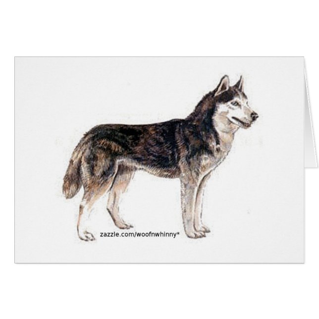 Siberian Husky! (Front Horizontal)