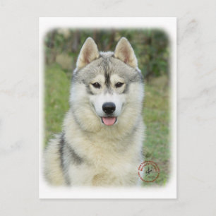 Siberian Husky 9L69D-14 Postcard