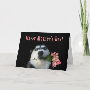 Siberian Husky and Tulips Happy Mother's Day Card