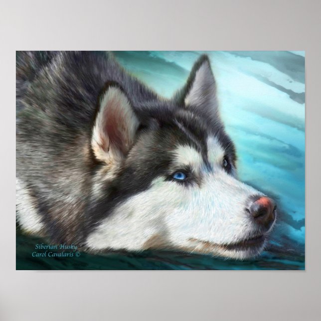 Siberian Husky Art Poster/Print Poster (Front)