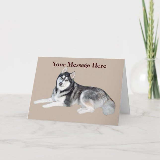 Siberian Husky Beautiful Greeting Card (Front)