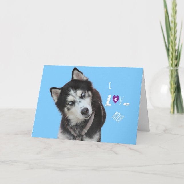 Siberian Husky Birthday Card (Front)