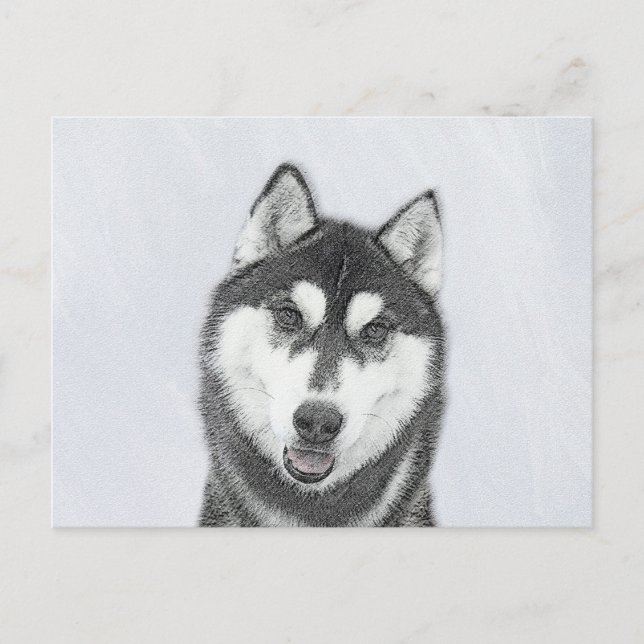 Siberian Husky (Black and White) Painting Dog Art Postcard (Front)