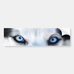 Siberian husky blue eyes bumper sticker