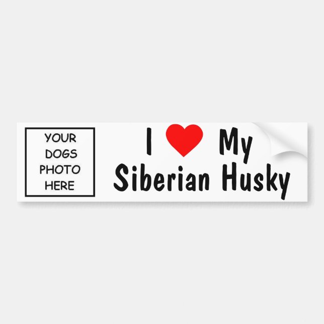 Siberian Husky Bumper Sticker (Front)